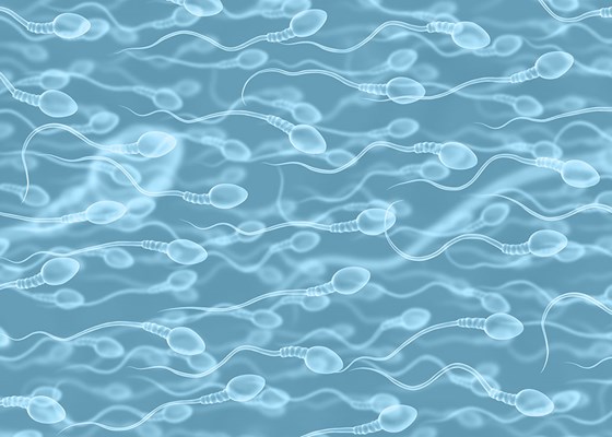 MOT What Does Mot Stand For European Sperm Bank mot-what-does-mot-stand-for-european-sperm-bank